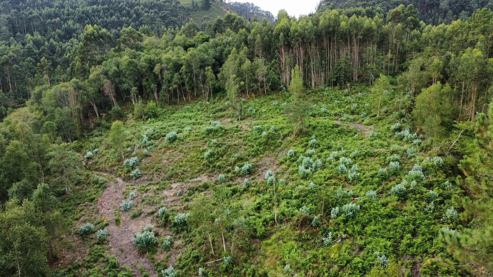 Terreno rustico in vendita a Pría - Nueva-Hontoria - Naves, imagen 21
