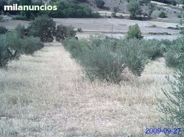 Terreno rústico en venta en Carretera Sacedón Cifuentes 4A