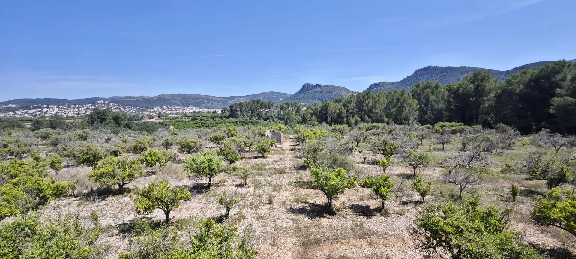 Residential land for sale in Tormos, imagen 26
