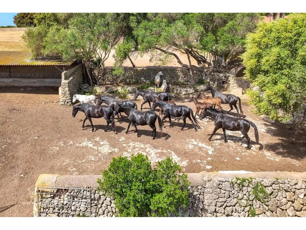 Exterior view of Land for sale in Ciutadella de Menorca