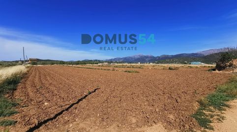 Finca rustica edificable en Buger, image 4