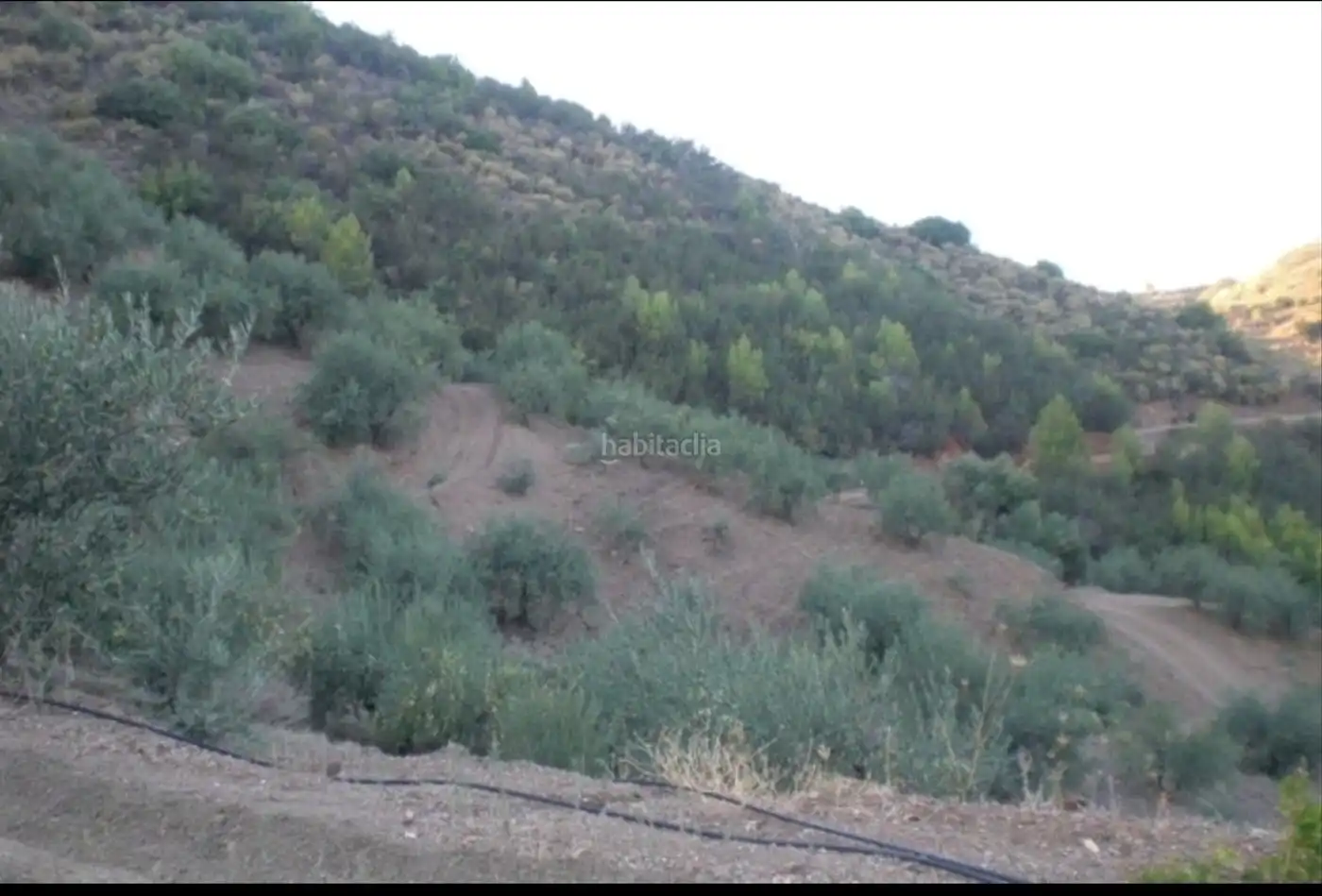 Terreni e lotti in vendita a Calle Luna 5