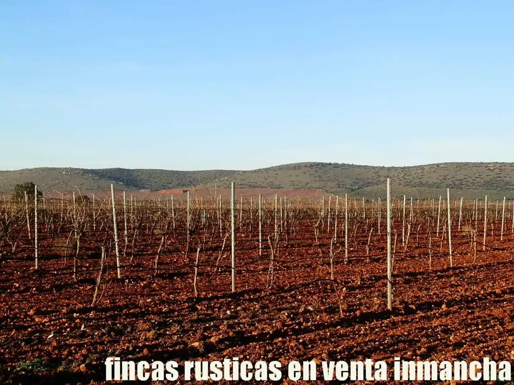 Terreno rústico en venta en Moral de Calatrava, imagen 12