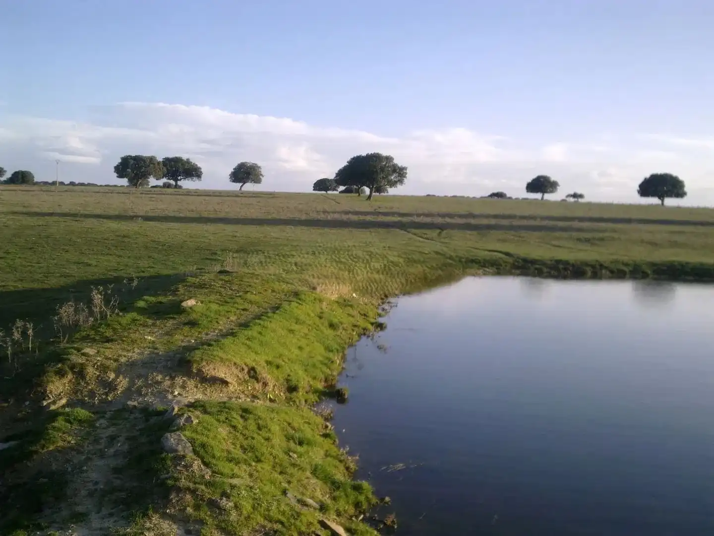Land for sale in Vistahermosa