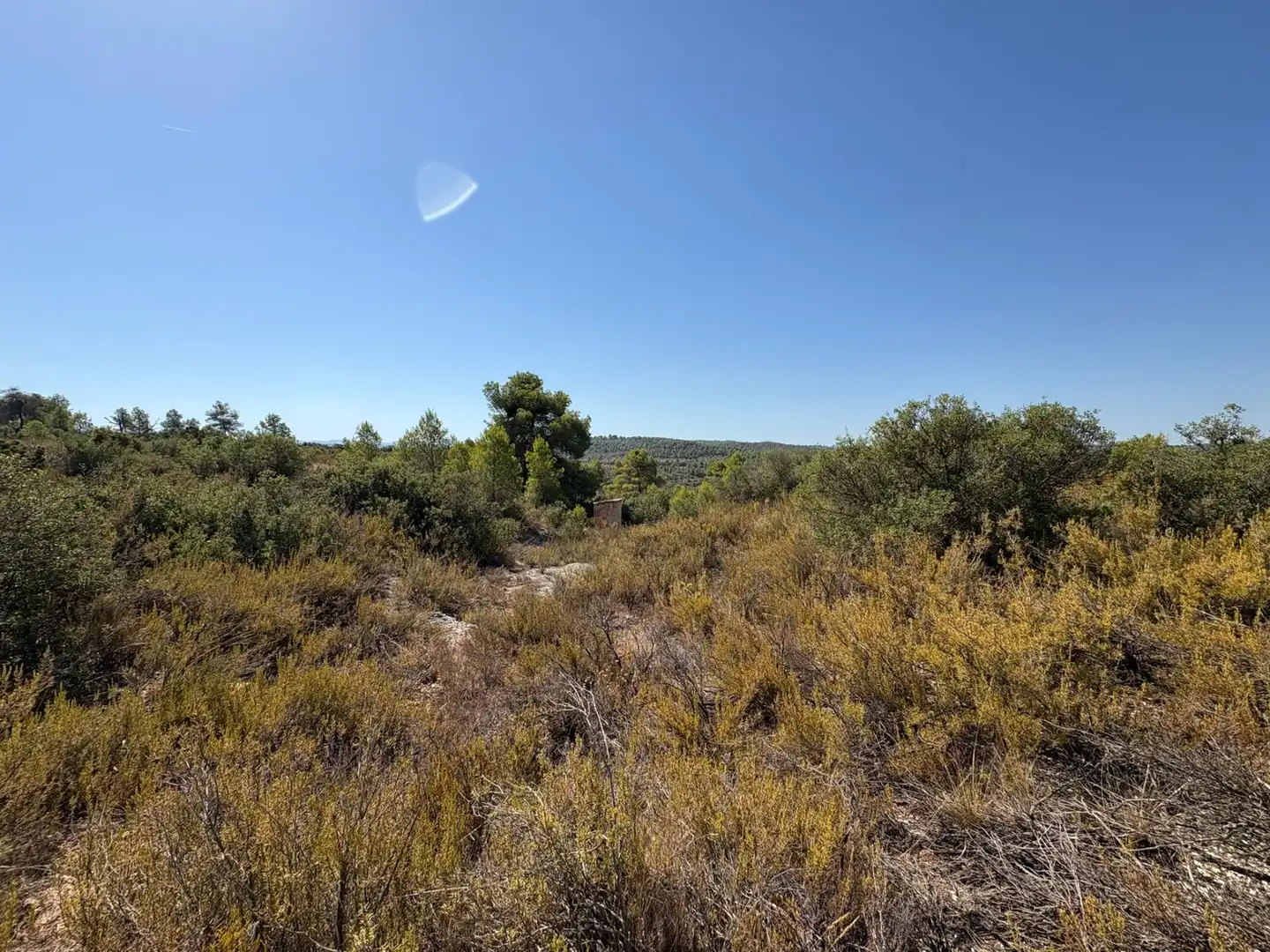 Terreno rustico in vendita a Cervià de Les Garrigues, imagen 23