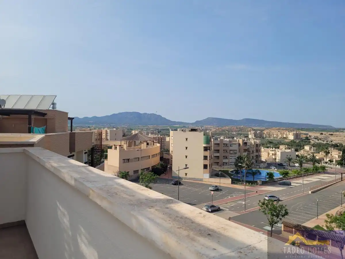 Apartament amb terrassa en venda a Pino Nuevo 6, imagen 32