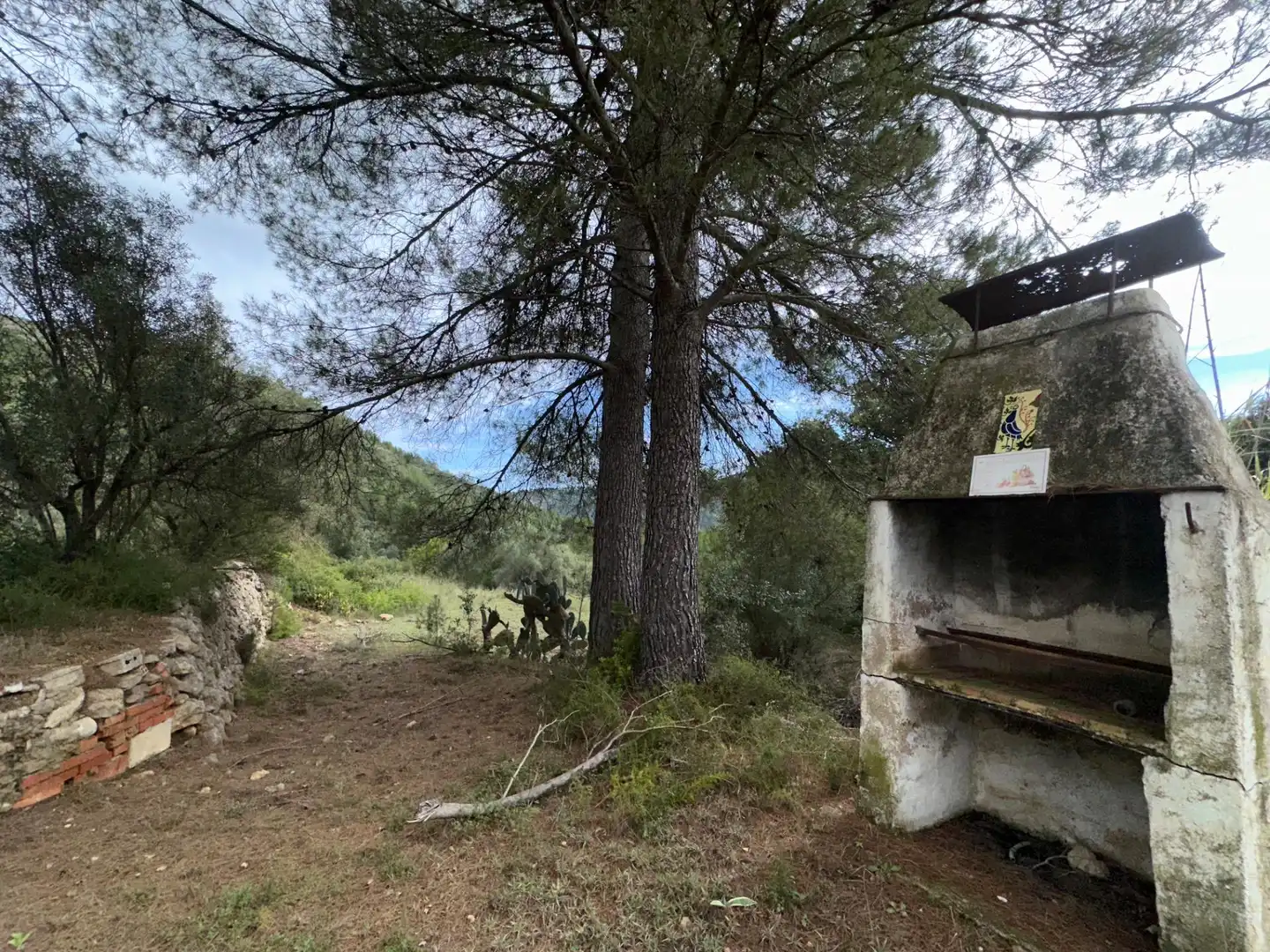 Jardín de Finca rústica en venta en Enguera