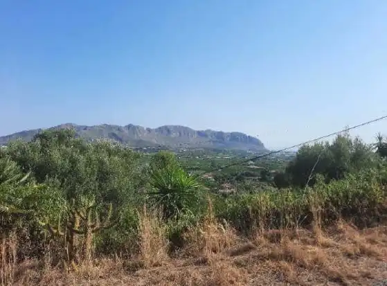 Terreny rústic en venda a PT PP SAPU-1 Rincón del Silencio 66, imagen 8