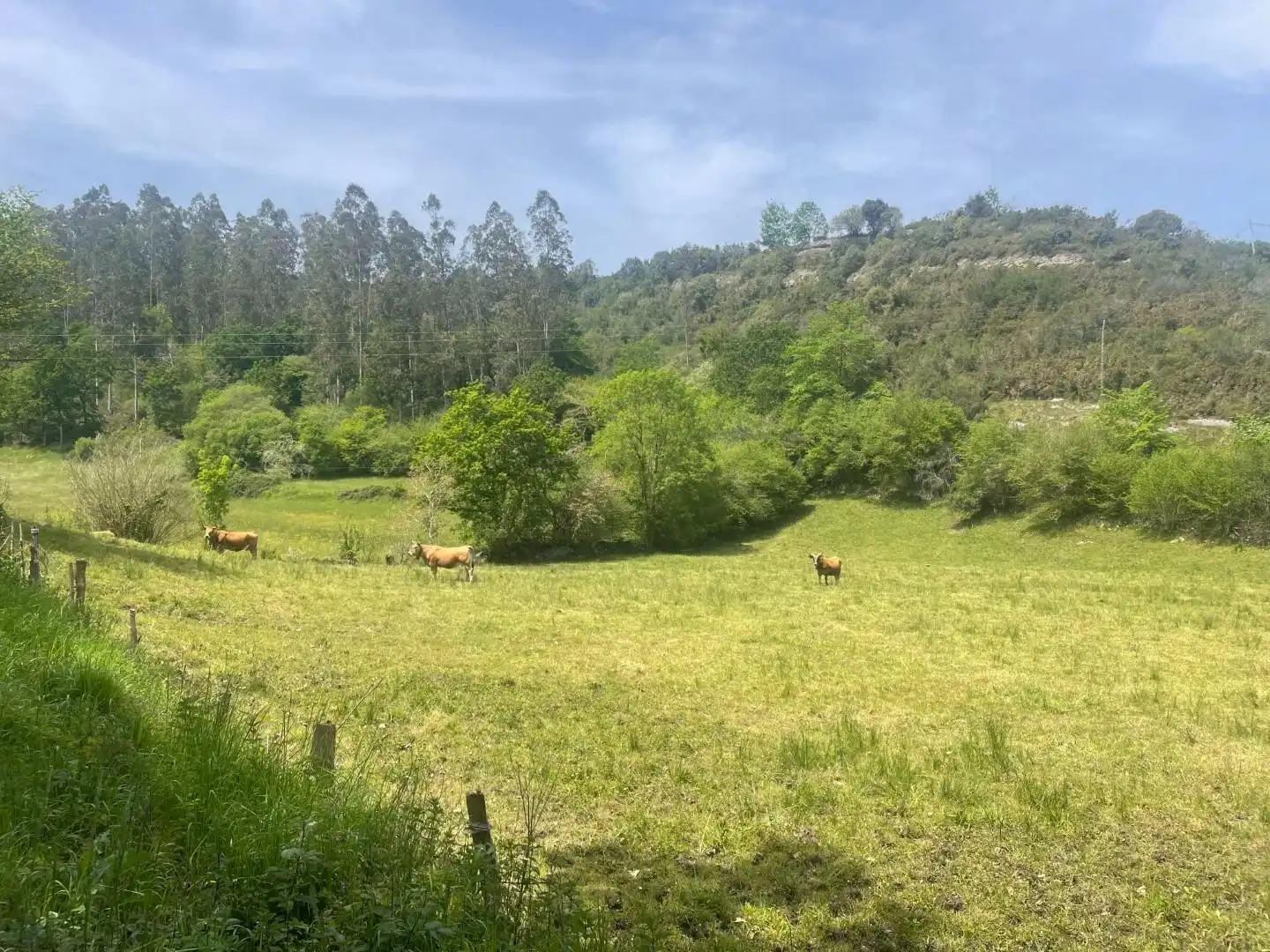 Terrenos y solares en venta en Valdáliga, imagen 8