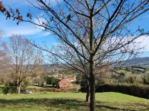 Residential for sale in Gijón 