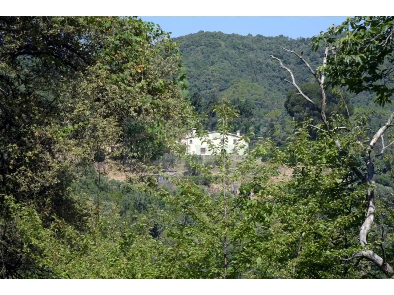 Vista exterior de Finca rústica en venda en Tordera amb Calefacció i Piscina
