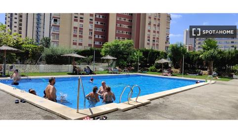 Foto 5 de Apartament per a compartir a Rincón Bajo, Alicante