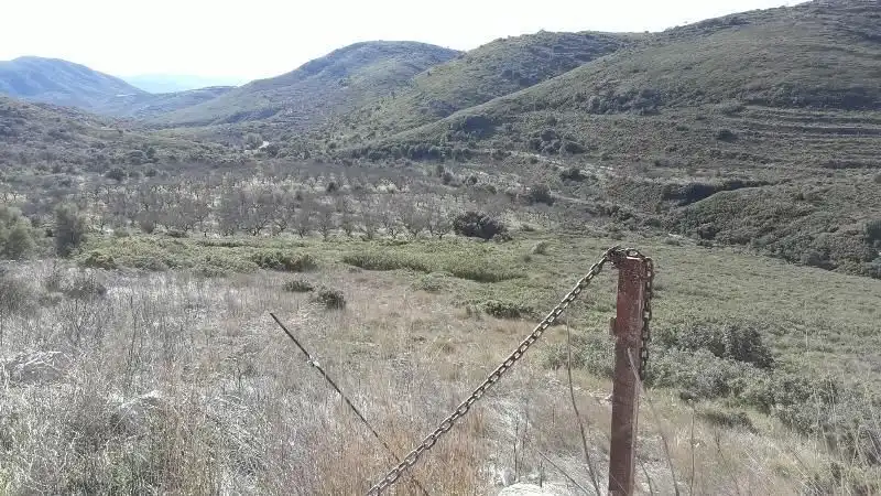 Land for sale in Tírig