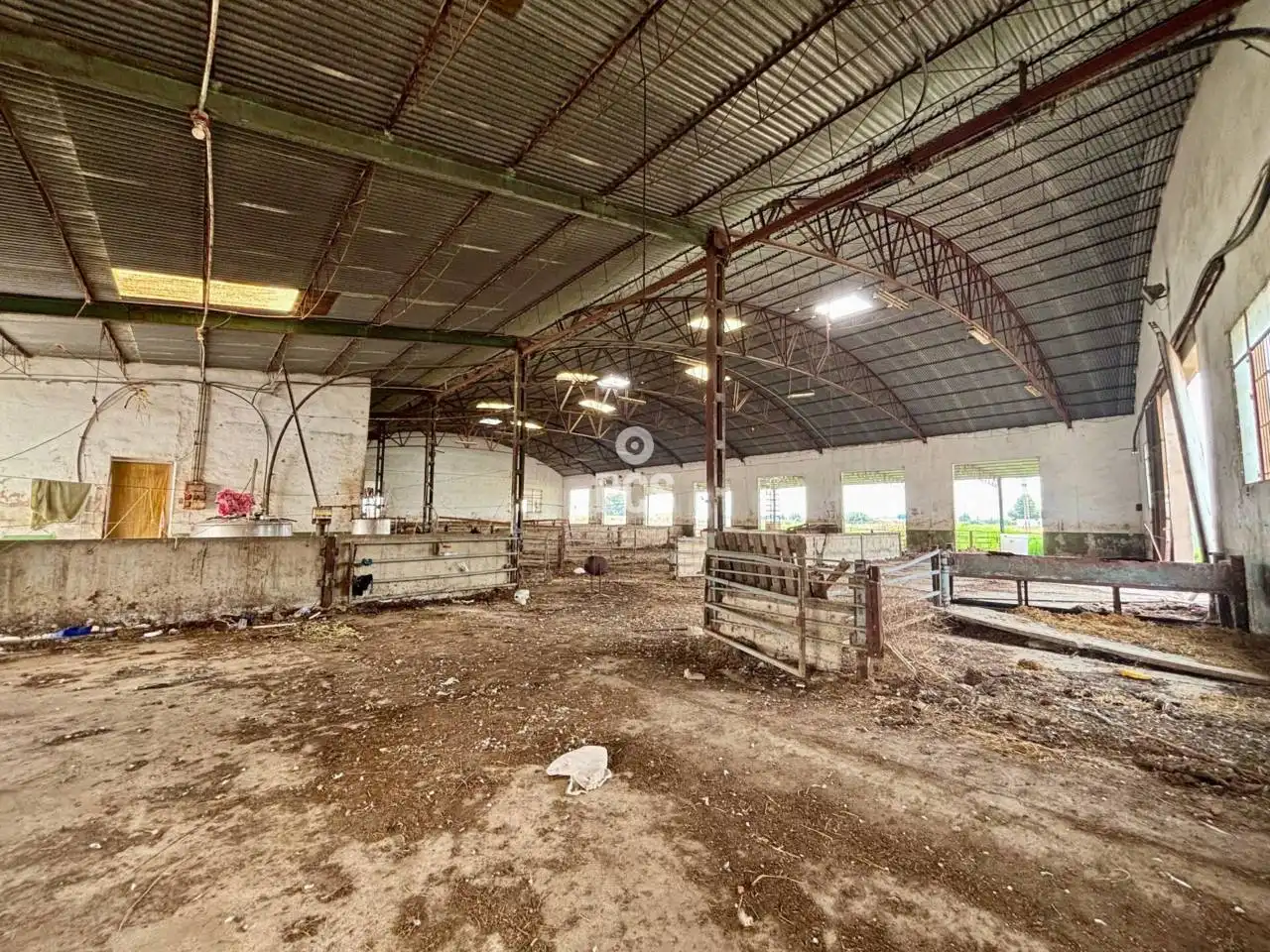 Industrial building for sale in Calle Alrededores de Totana S/N, imagen 16