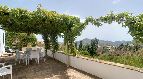 Foto 4 de Finca rústica en venda a Camino de Benamayor, 115o, Cómpeta, Málaga