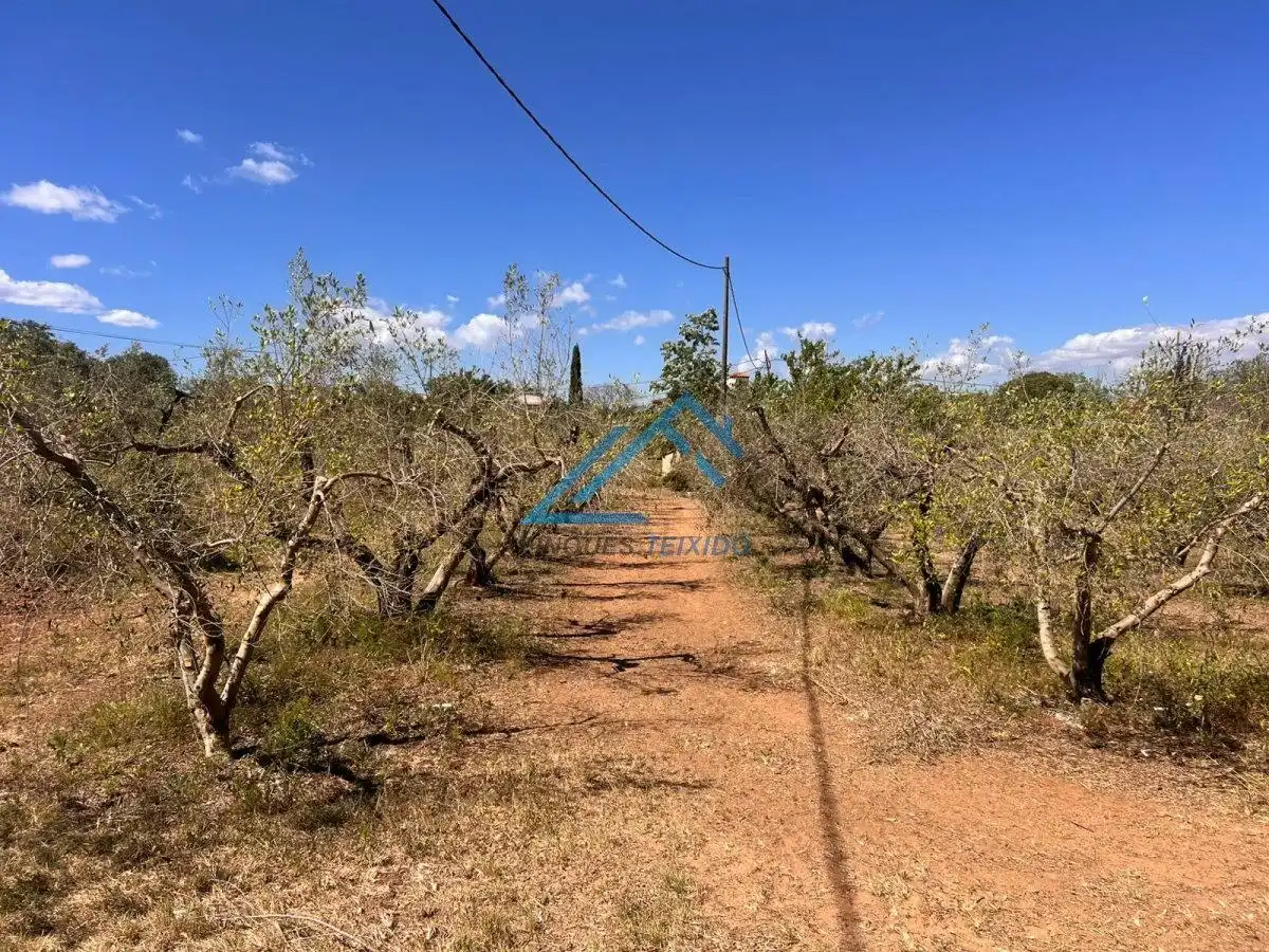 Land for sale in Vinyols i els Arcs