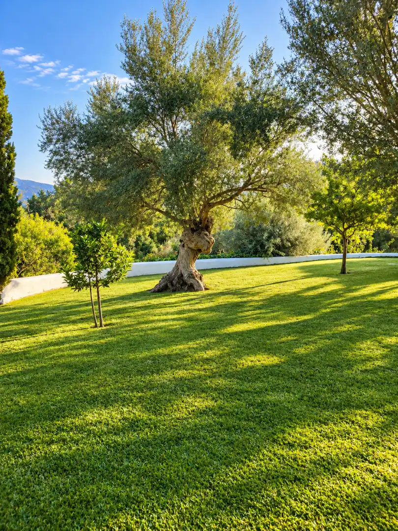 Country house with pool to rent in Port d'Andratx, imagen 57