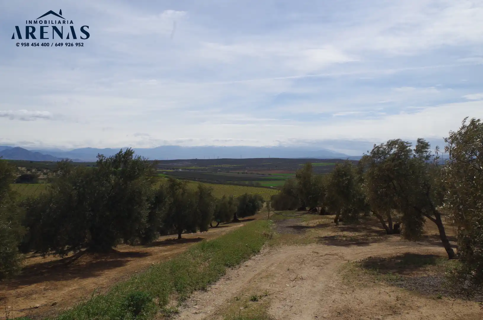 Residential land for sale in Carretera de Íllora, imagen 10