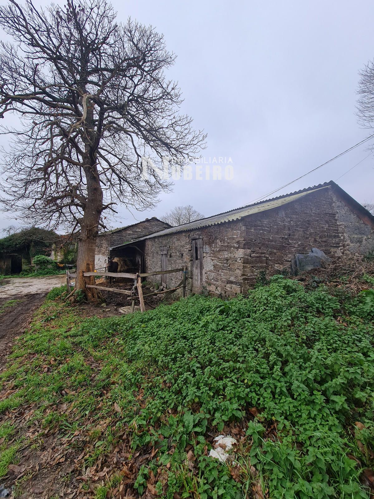 Casa o chalet en venta en Castroverde