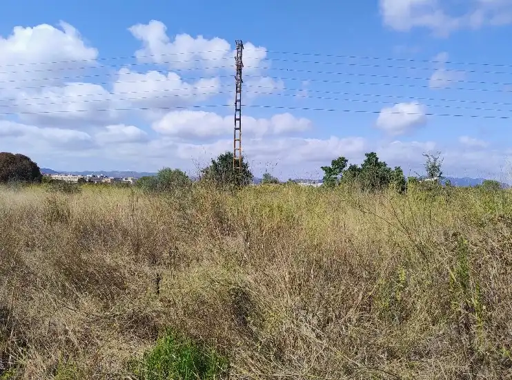 Terreno rustico in vendita a Este, imagen 4