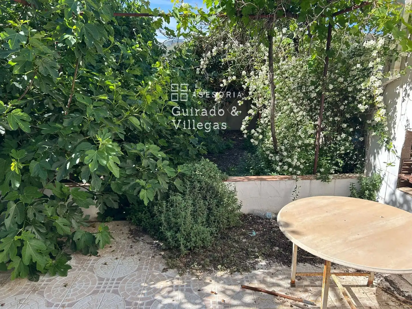 Garden of Detached homes for sale in Fines  with Storage room and Balcony