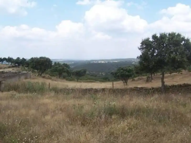 Terreni e lotti in vendita a Alcántara, imagen 22