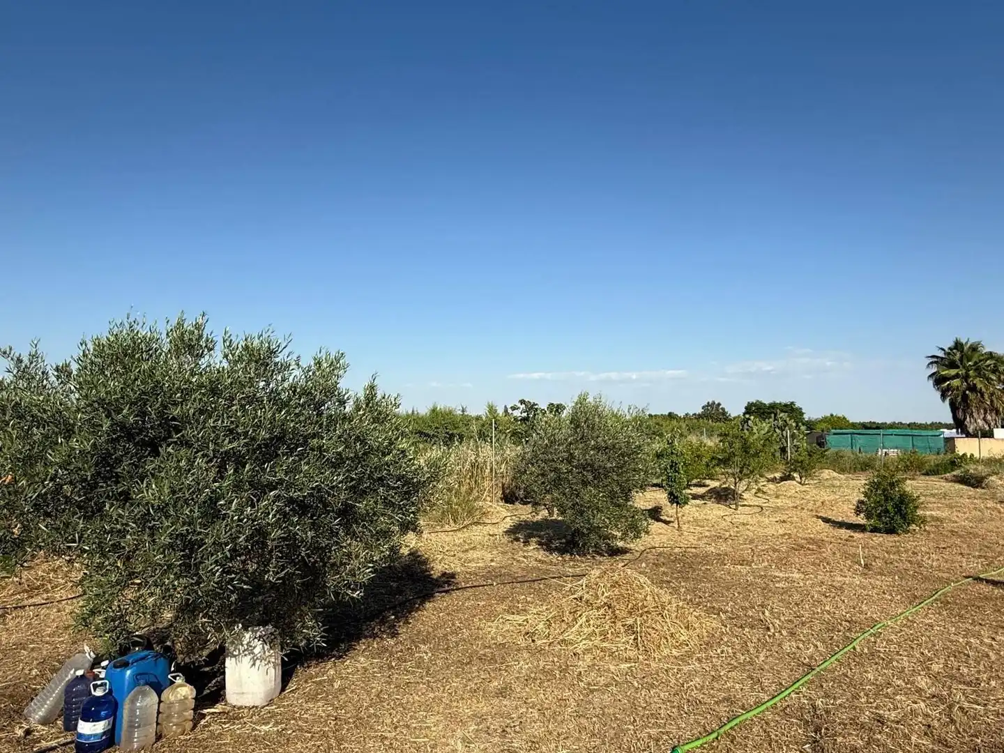 Terreni e lotti in vendita a Pedanías de Badajoz