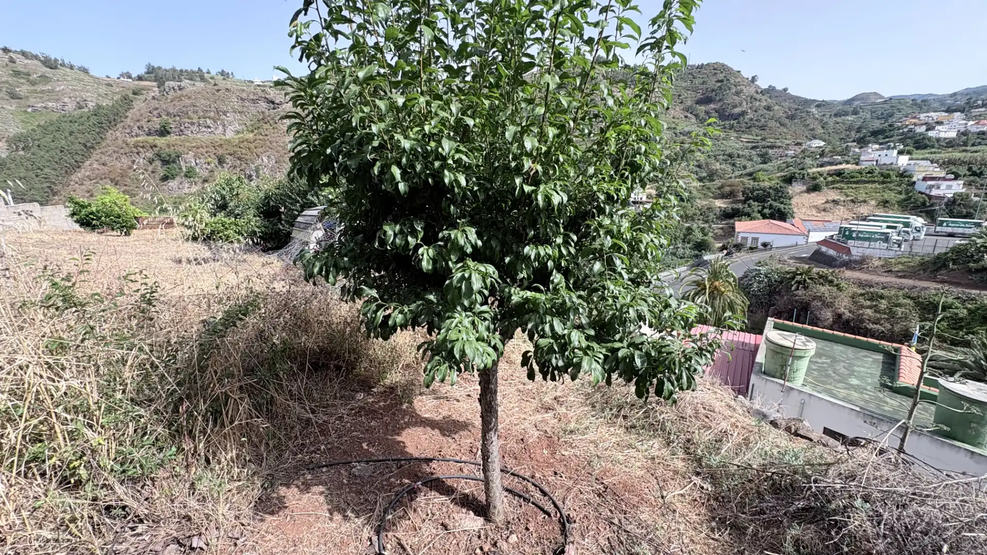 Maison mitoyenne avec jardin à vendre à Teror pueblo, imagen 24