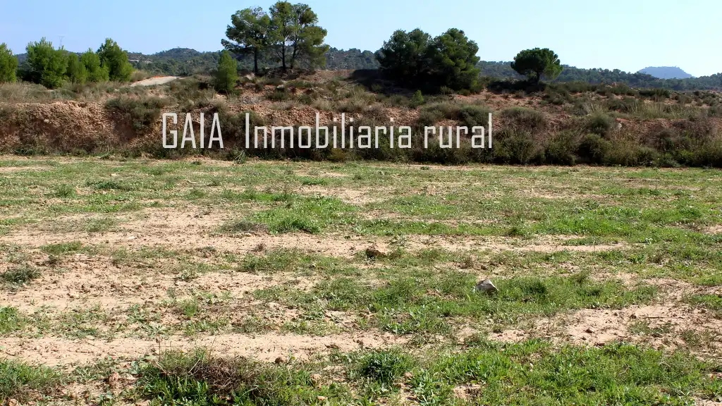 Finca rústica en venda en Batea