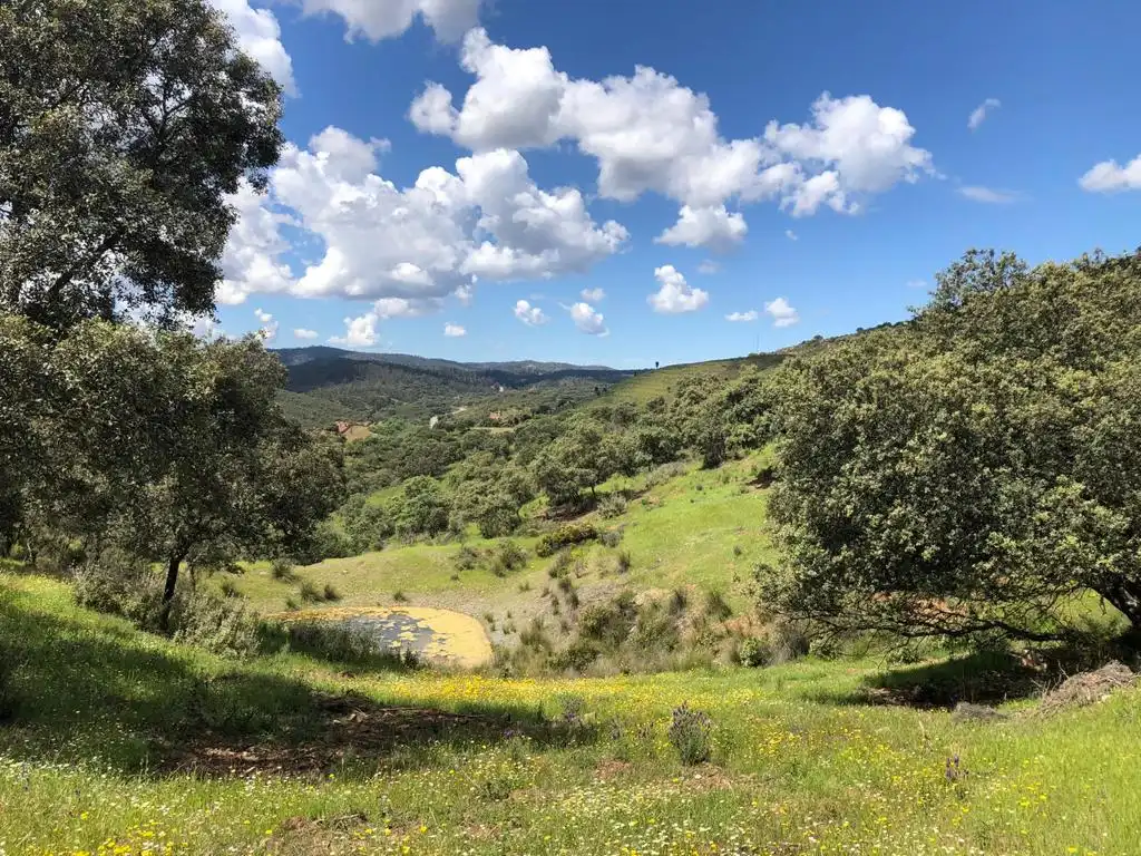 Terreni e lotti in vendita a Zufre, imagen 62