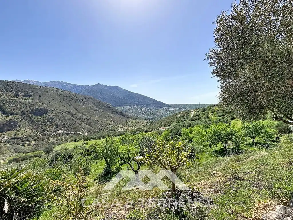 Vista exterior de Casa o xalet en venda en Alcaucín amb Aire condicionat, Terrassa i Piscina