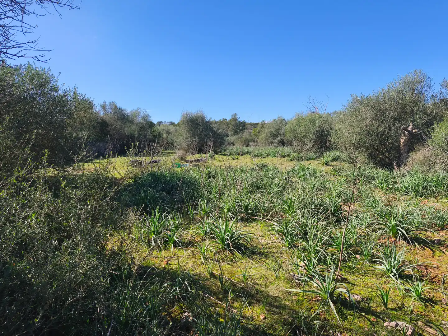 Terreno residencial en venta en Carrer Ruberts 24, imagen 12