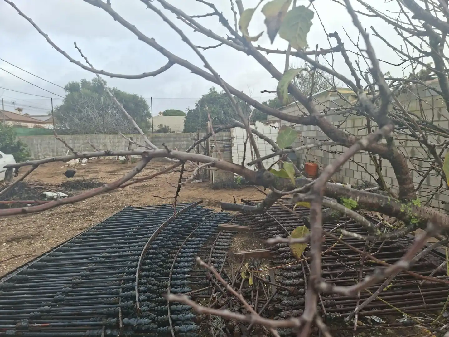 Residential land for sale in Los Franceses – La Vega, imagen 2