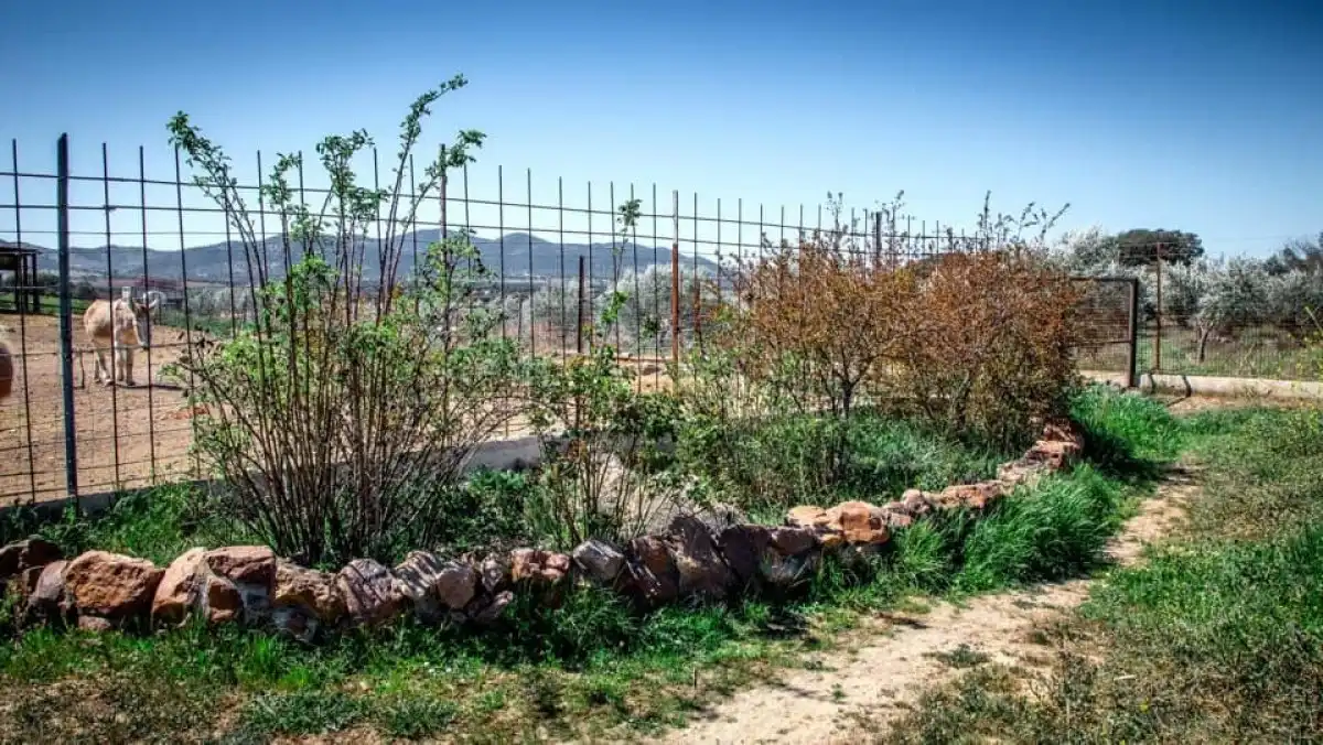 Landhaus zum Verkauf in Peñarroya-Pueblonuevo, imagen 14