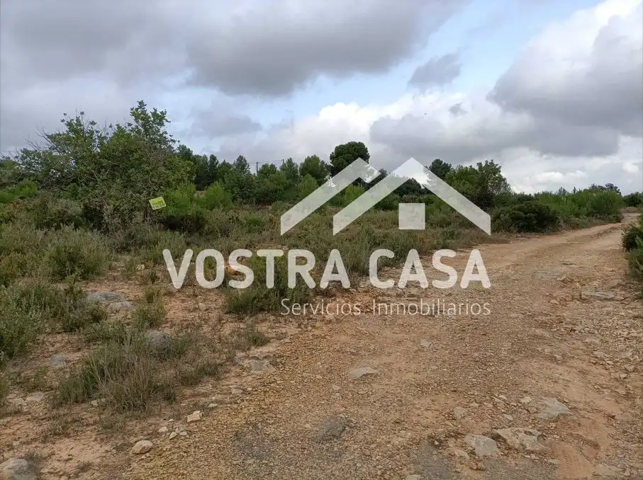 Terreno rustico in vendita a LOMA CABALLEROS, imagen 3