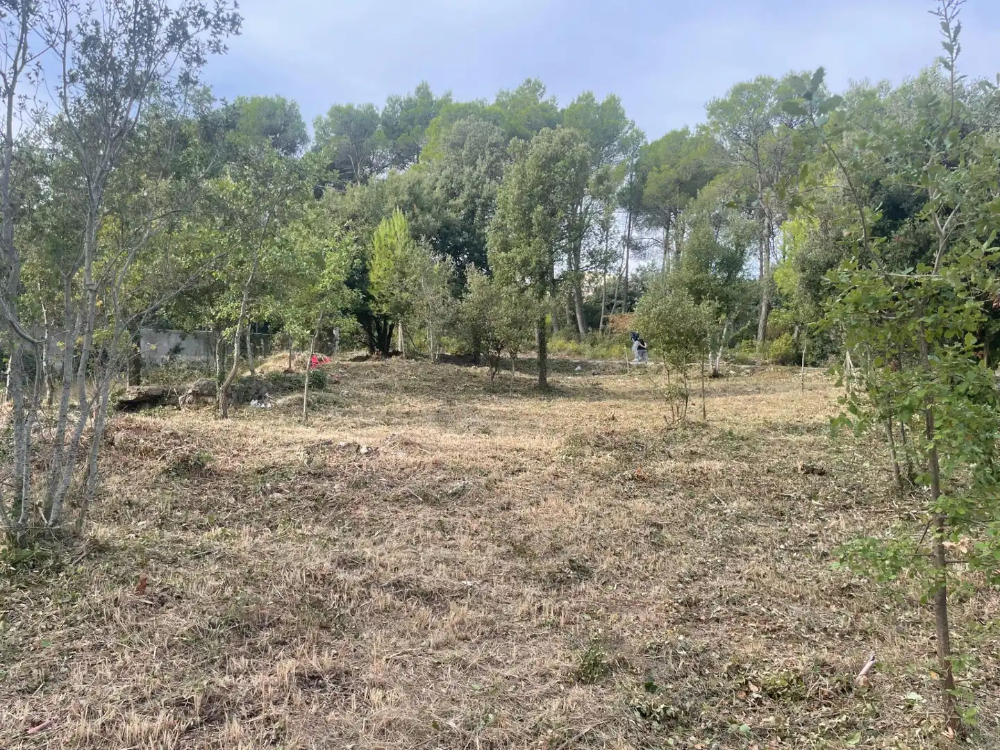 Terreny residencial en venda a DOMINGO ROURA 454, imagen 5