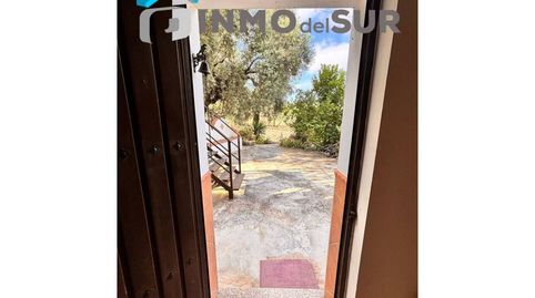 Finca con olivos y una casa en plena naturaleza.