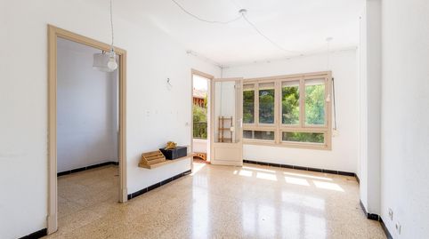Foto 5 de Piso en venta en Calle Camp Redó, Es Camp Redó, Palma de Mallorca