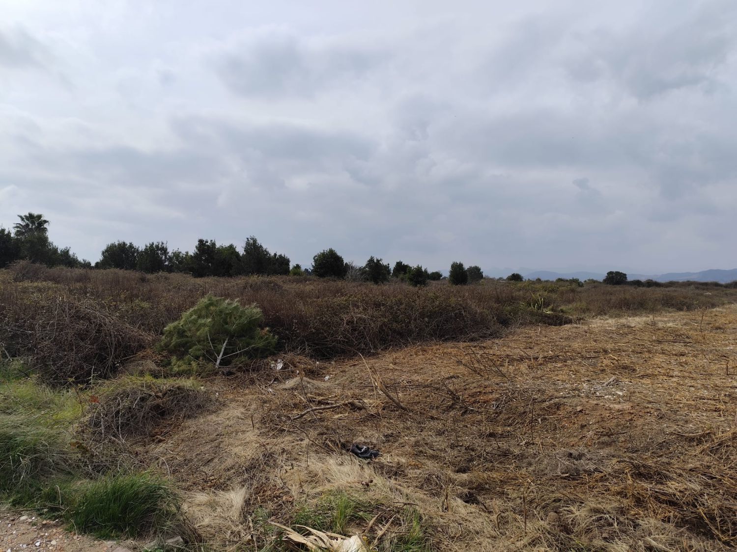 Residential for sale in Sagunto / Sagunt