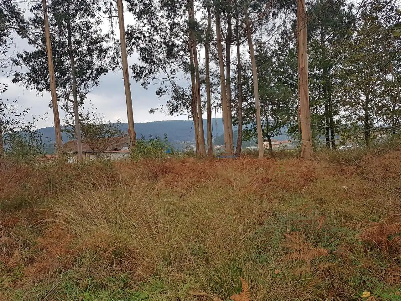 Terreny residencial en venda a Tomiño, imagen 6