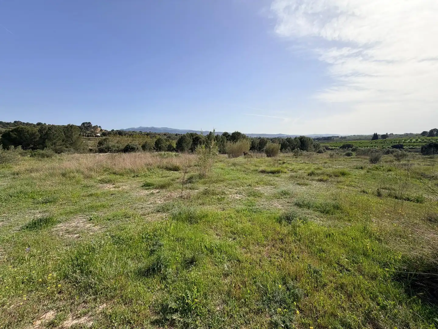 Terreny residencial en venda a Montaverner, imagen 2