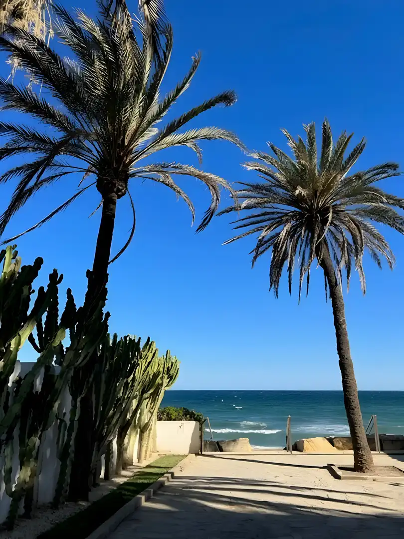Apartamento con piscina en venta en Milla de Oro, imagen 28