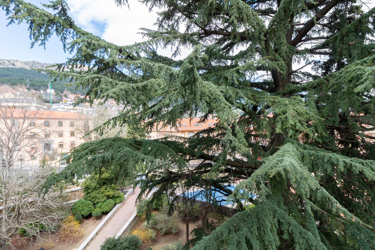 Jardín de Ático en venta en San Lorenzo de El Escorial con Calefacción, Jardín privado y Piscina comunitaria