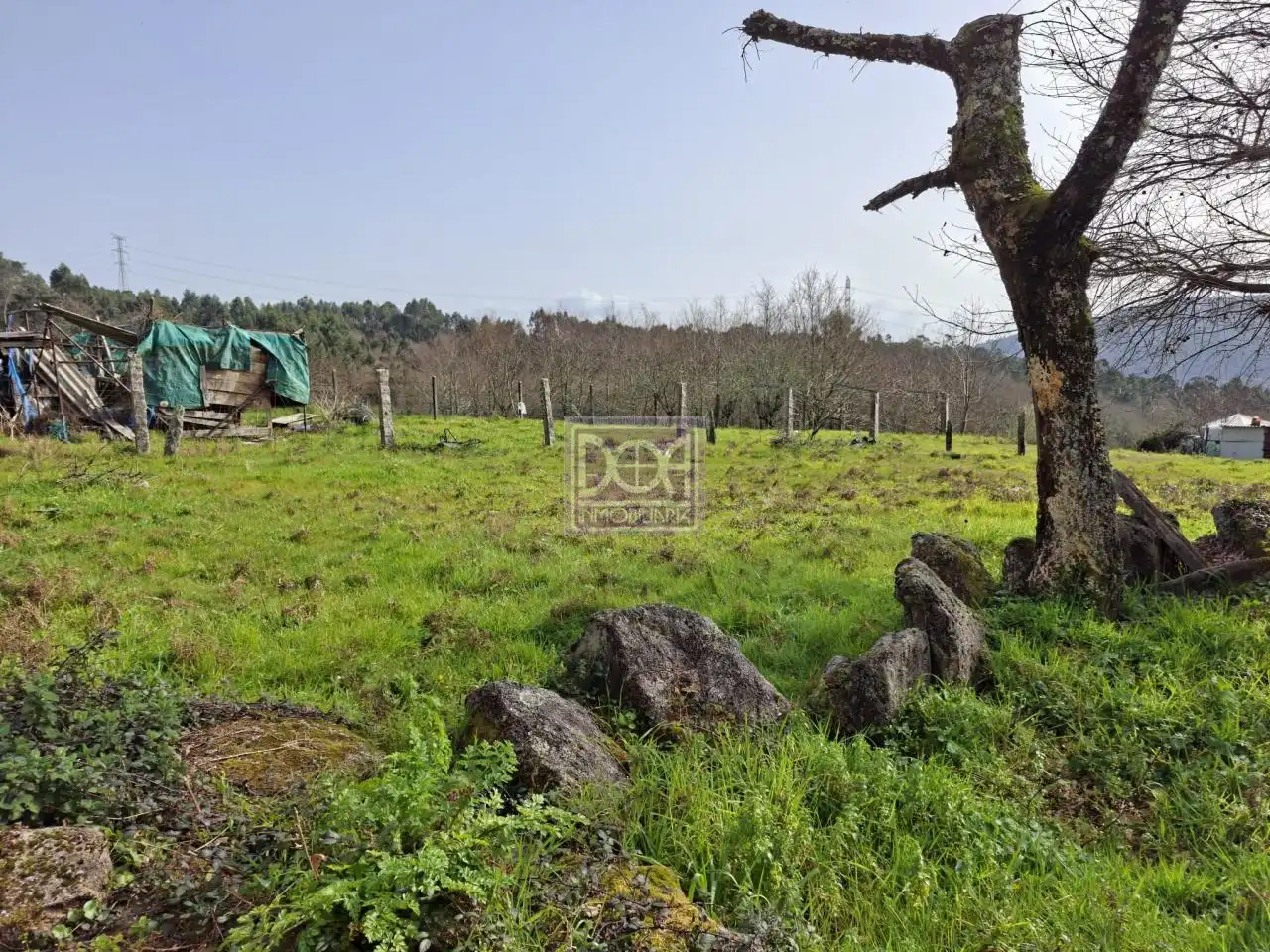 Lands and plots for sale in Mondariz, imagen 3