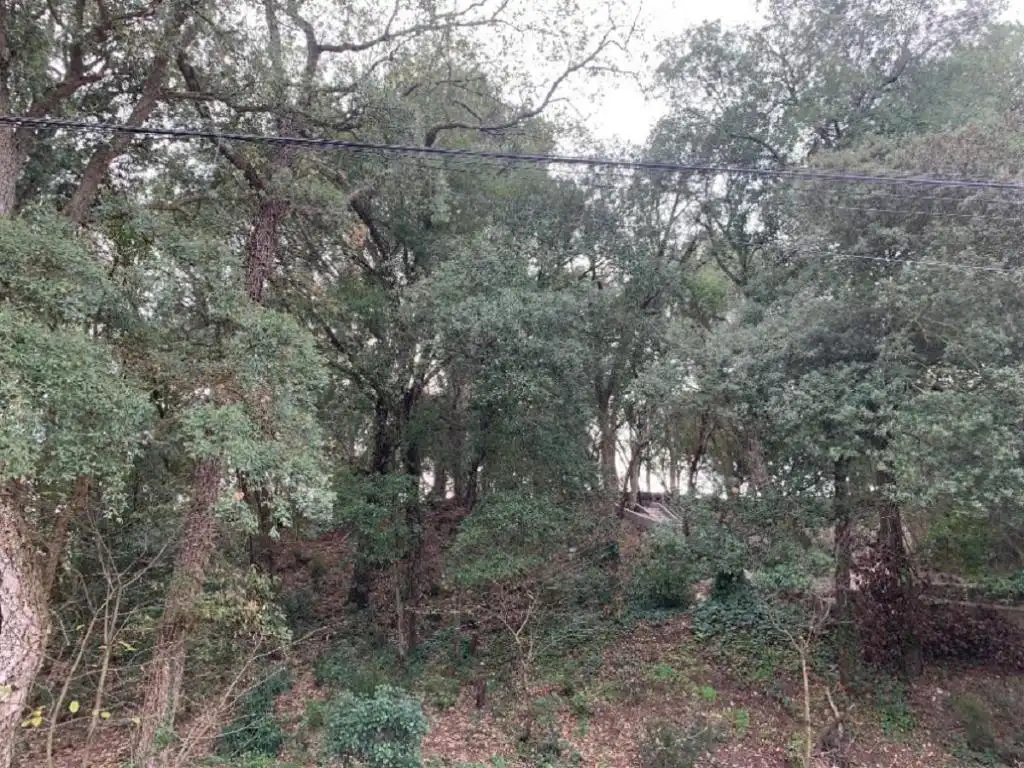 Residential land for sale in Carrer del Cardener, imagen 5