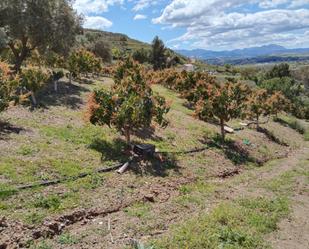 Land for sale in Pizarra