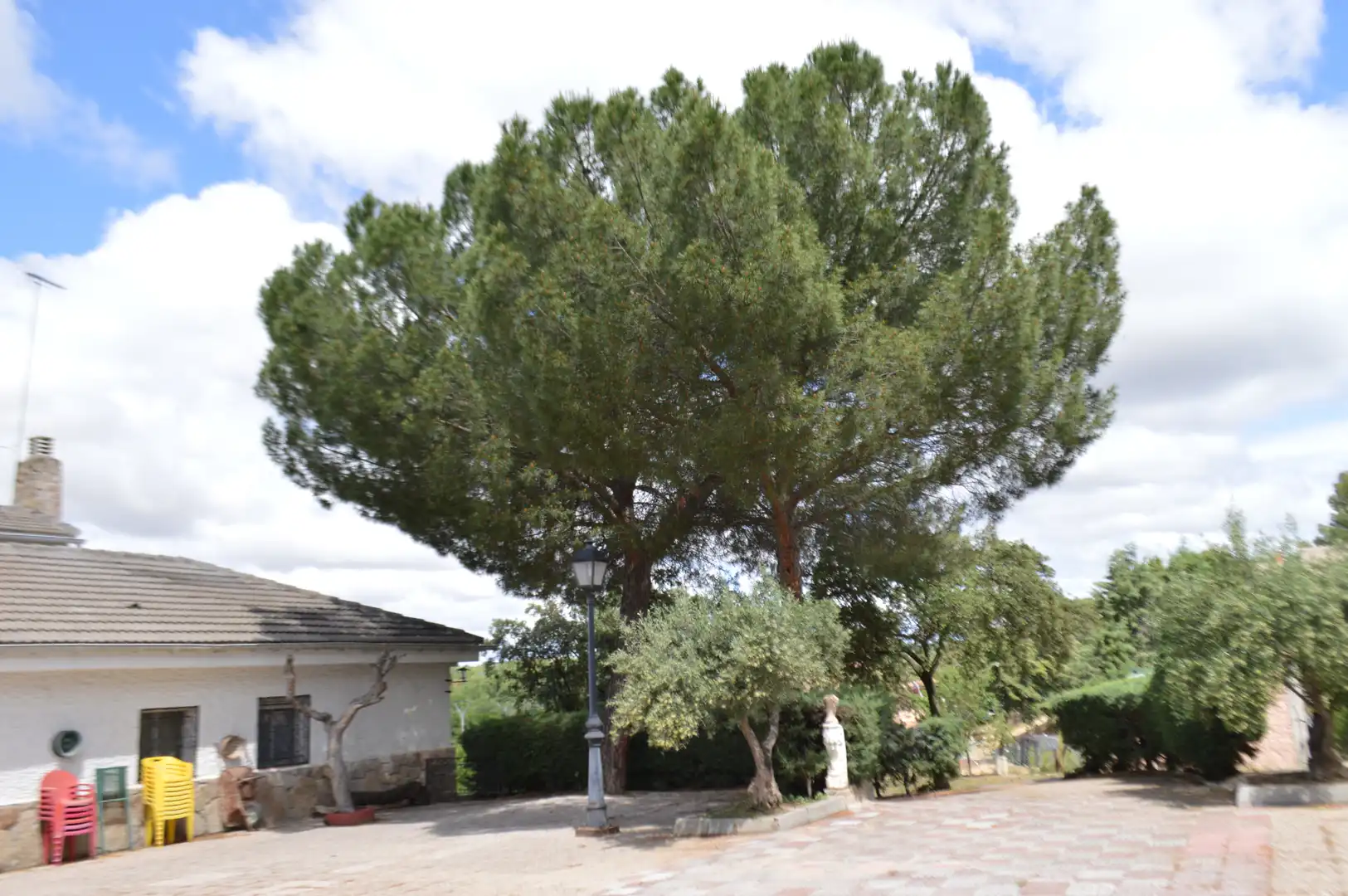Jardín de Casa o chalet en venta en Batres con Calefacción, Jardín privado y Terraza