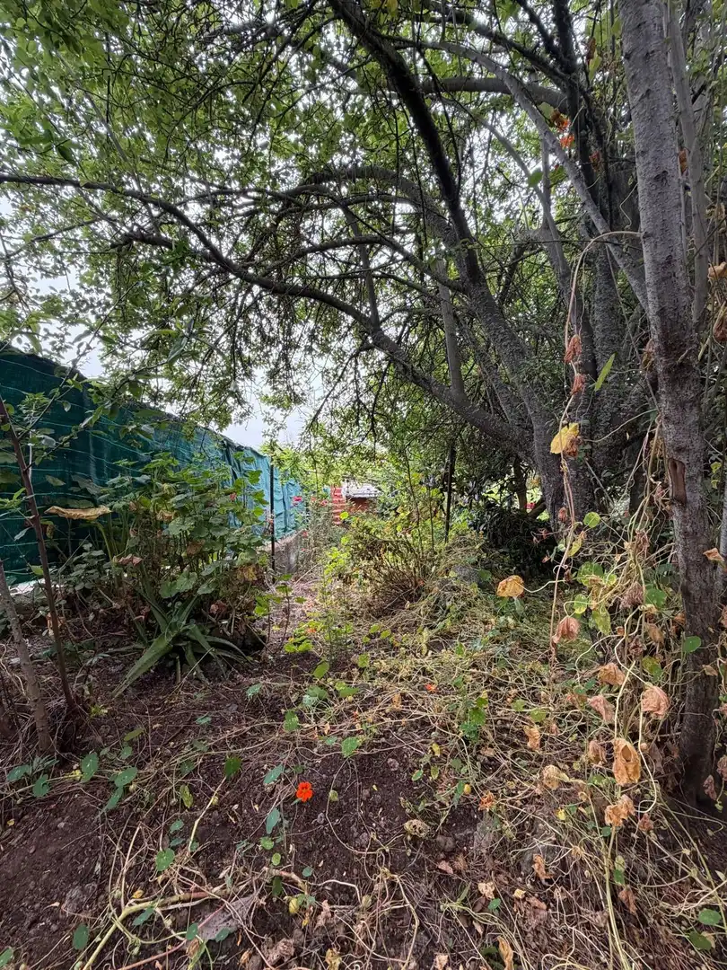 Terreno rustico in vendita a El Bebedero - Pinolere - Aguamansa, imagen 37