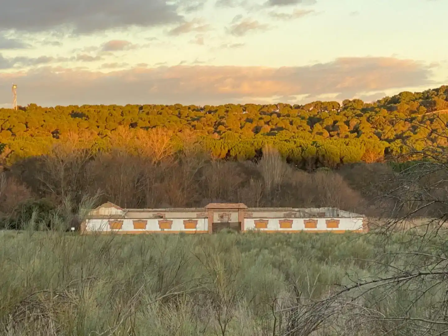 Vista exterior de Finca rústica en venta en Villaviciosa de Odón