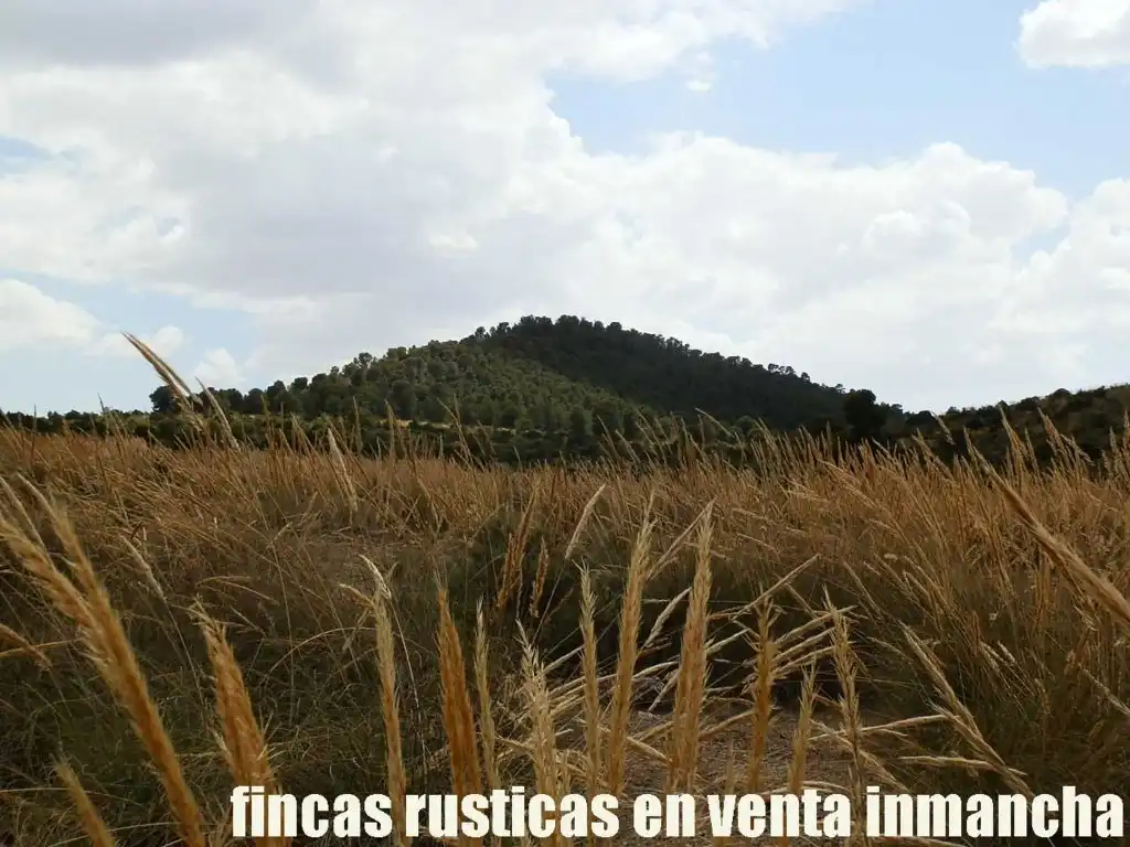 Rural land for sale in Chinchilla de Monte-Aragón, imagen 14